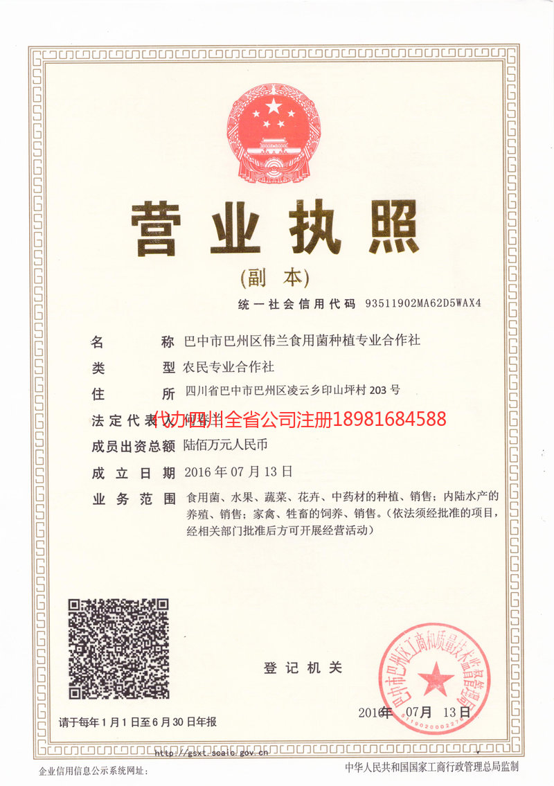 辽源辽源伟兰食用菌种植专业合作社